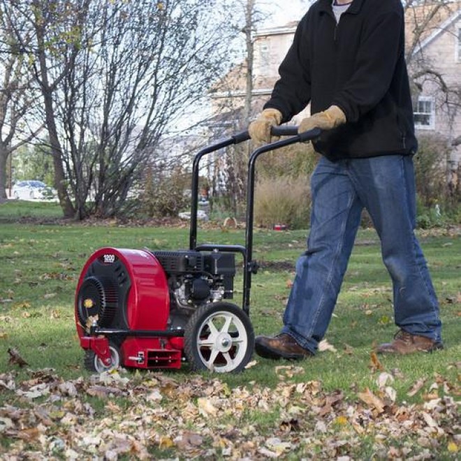 Southland 163cc 4 Stroke  Powered Walk Behind Leaf Blower