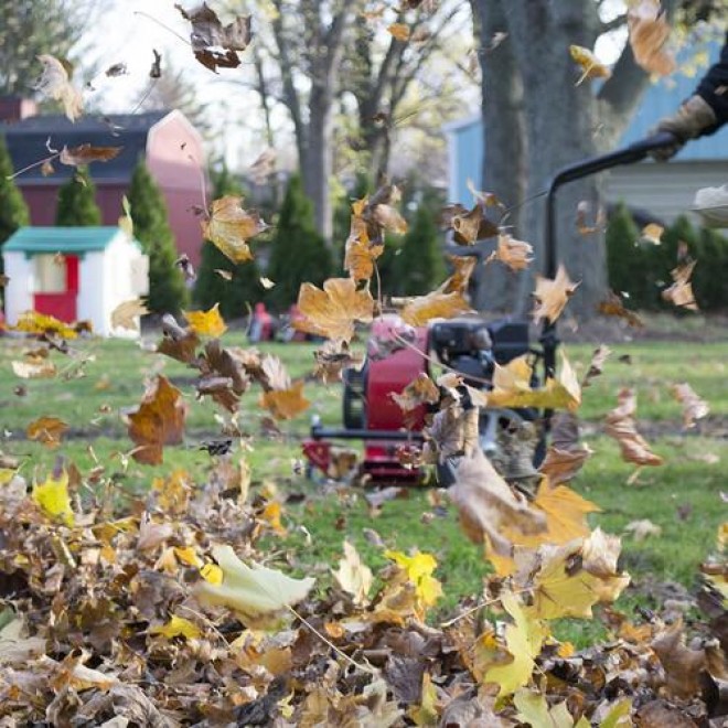 Southland 163cc 4 Stroke  Powered Walk Behind Leaf Blower