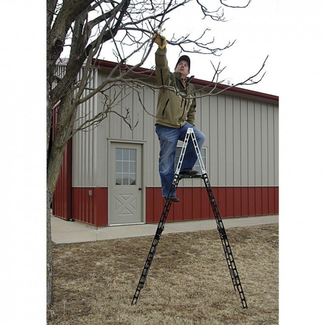 Easystep Fence Crosser Ladder