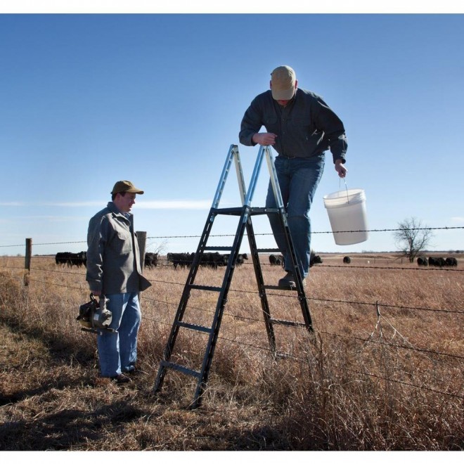 Easystep Fence Crosser Ladder