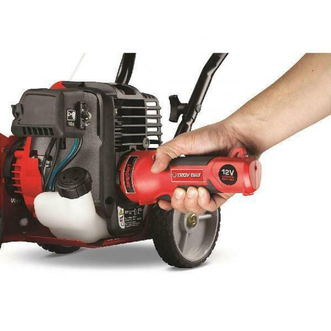 Troy-Bilt Tb516 EC 29-cc 4-cycle 9-in  Lawn Edger