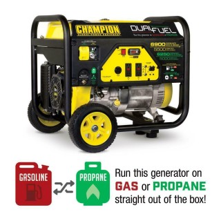 Power Equipment 100231 5500 Watt Dual Fuel RV Ready Portable Generator