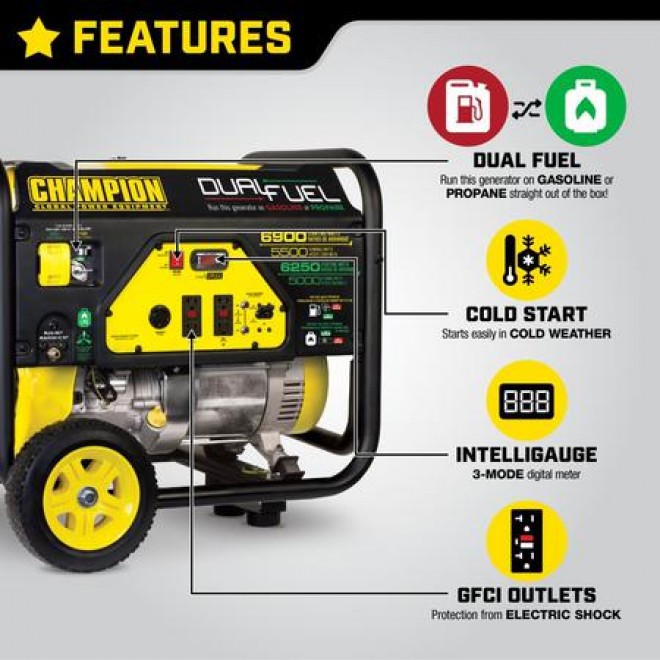 Power Equipment 100231 5500 Watt Dual Fuel RV Ready Portable Generator